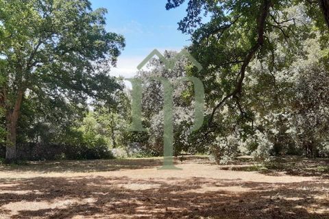 Helårsgrund i Ostuni, Brindisi, Ostuni - € 410.000 | Ref: Terreno Rella14 - foto 4